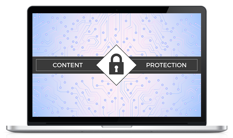 Protect And Monetize Your Content With Vydia Today